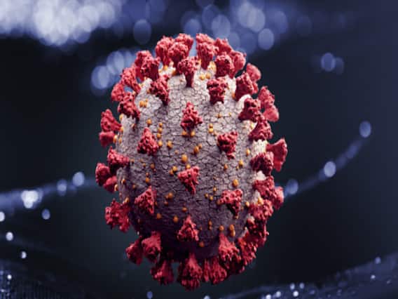 64000 new cases of Coronavirus registered in America within 24 hours