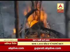 અસ્મિતા વિશેષઃ આગ-પાણી અને પ્રલય