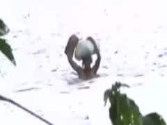 Roads appear like river in Bihar's Sitamarhi