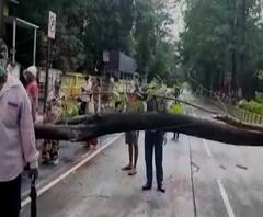Navi Mumbai | पैसे काढण्यासाठी बॅंकबाहेर उभ्या नागरिकांवर झाड कोसळलं, अंगावर झाड पडल्याने एकाचा मृत्यू 