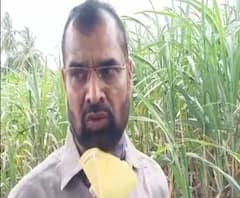 Sadabhau Khot | राज्यभर शेतकरी कर्जमाफी योजनेत घोटाळा, सदाभाऊ खोत यांची टीका