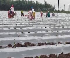 TOP 100 News | देशभरातील शंभर महत्वाच्या बातम्यांचे अपडेट्स एका क्लिकवर