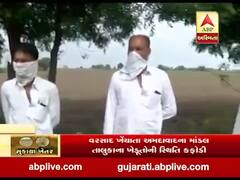 અમદાવાદ: માંડલ તાલુકાના રિબડી ગામના ખેડૂતો વરસાદ ખેંચાતા મુકાયા મુશ્કેલીમાં, જુઓ વીડિયો