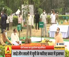 Ganga Dopahar: योगी सरकार का वृक्षारोपण महाअभियान | Yogi Adityanath | ABP Ganga