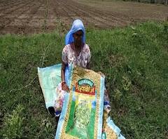 Bogus Seed | कापूस, सोयाबीनच्या बोगस बियाणांच्या राज्यात 30 हजार तक्रारी