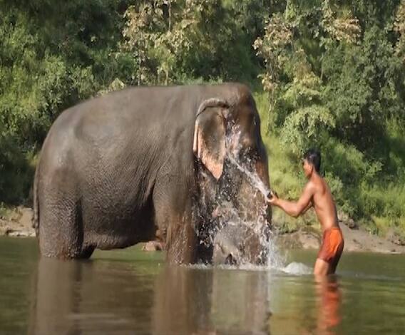 TOP 100 News | देशभरातील शंभर महत्वाच्या बातम्यांचे अपडेट्स एका क्लिकवर