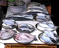 Gatari Amavasya 2020 | मुंबईत चिकन, मटण, मासळी बाजारात गर्दी