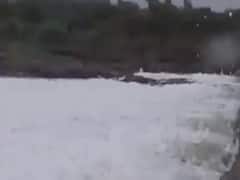 રાજકોટઃ ભાદર નદીમાં છોડાયું કેમિકલવાળું પાણી, જુઓ વીડિયો