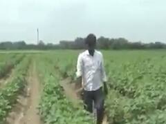 વડનગર: વરસાદના અભાવે ખેડૂતો ચિંતિત, પાણીના અભાવે સુકાઈ રહ્યો છે પાક, જુઓ વીડિયો