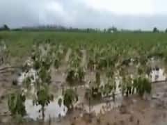કચ્છઃ અબડાસામાં ખેતરોમાં પાણી ભરાતા પાકને મોટું નુકસાન, જુઓ વીડિયો
