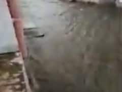 સૌરાષ્ટ્રના આ શહેરોમાં આજે ભારે વરસાદની હવામાન વિભાગની આગાહી, જુઓ વીડિયો