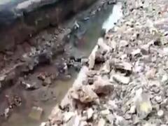  પોરબંદર જિલ્લામાં ભારે વરસાદના કારણે હાલાકી, અનેક ખેતરોમાં ભરાયા પાણી, જુઓ વીડિયો