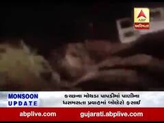 કચ્છના મોથડા પાપડીમાં પાણીના ધસમસતા પ્રવાહમાં બોલેરો ફસાઇ, જુઓ વીડિયો 