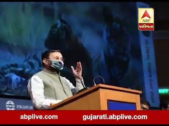 વર્લ્ડ ટાઇગર ડેઃ દુનિયાના 70 ટકા વાઘ એકલા ભારતમાં, જુઓ વીડિયો 