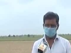 અમદાવાદના માંડલ તાલુકાના ઢેડાસણ ગામના ખેડૂતોની શું છે સમસ્યા ? જુઓ વીડિયો