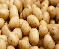 লকডাউন থেকে ঘূর্ণিঝড়, একের পর এক ধাক্কা সবজি বাজারে, চড়া দামে বিকোচ্ছে আলুও