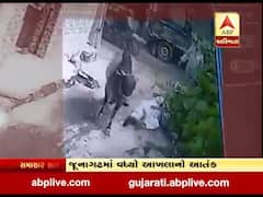 જૂનાગઢઃ  માળીયા હાટીનામાં રખડતા આખલાનો આતંક, રાહદારીને હવામાં ફંગોળ્યા