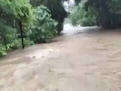 ધોધમાર વરસાદથી નવસારીના ખરસાડ ગામમાં ખાડી ઓવરફ્લો,જુઓ વીડિયો