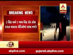 ગીર સોમનાથના ઉનાના તપોવન રોડ પર સિંહ લટારનો વીડિયો વાયરલ, જુઓ વીડિયો 