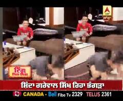 ਭੰਗੜਾ ਪਾਉਂਦੇ ਦਿਖੇ ਗਿੱਪੀ ਗਰੇਵਾਲ ਦੇ ਲਾਡਲੇ | Gippy song | Shinda Grewal | Gurbaaz Grewal 