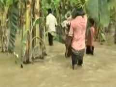 Bihar: Heavy rain and flood ruin banana crops