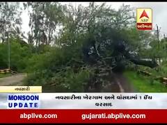 નવસારી : ધોધમાર વરસાદના પગલે અમલસાડના અંધેશ્વર મંદિર પાસે વૃક્ષ ધરાશાયી, જુઓ વીડિયો 