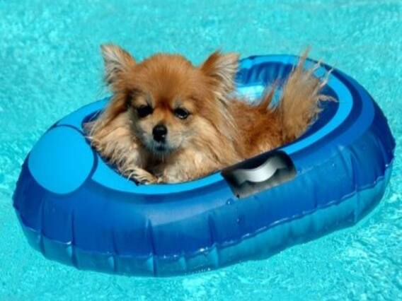 देखें देश और विदेश की बड़ी खबरें वायरल एक्सप्रस में 