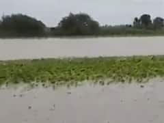 જૂનાગઢના માંગરોળના ઘેડ પંથકમાં હજુ પાણી નથી ઓસર્યા, જુઓ વીડિયો