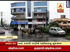 નવસારી શહેરમાં બે આખલા બાખડતા અફરાતફરી, જુઓ વીડિયો 