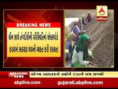 સૌરાષ્ટ્ર ઓઇલ મિલ એસોસિયેશને CMને લખ્યો પત્ર, ખેડૂતોને મગફળીનું યોગ્ય વળતર મળે તેવી કરી માંગ