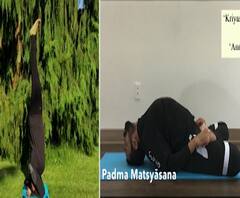 My Life My Yoga | आयुष मंत्रालयाच्या उपक्रमात कॅनडाच्या दाम्पत्याची बाजी, 'माय लाईफ माय योगा'! 