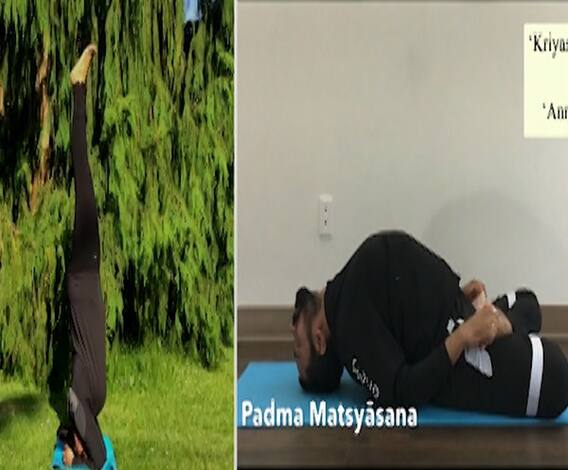 My Life My Yoga | आयुष मंत्रालयाच्या उपक्रमात कॅनडाच्या दाम्पत्याची बाजी, 'माय लाईफ माय योगा'! 