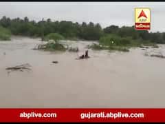 જૂનાગઢઃ માંગરોળ પાસે નોળી નદીમાં પાણીની ભારે આવક, છ ગામનો રસ્તો થયો બંધ