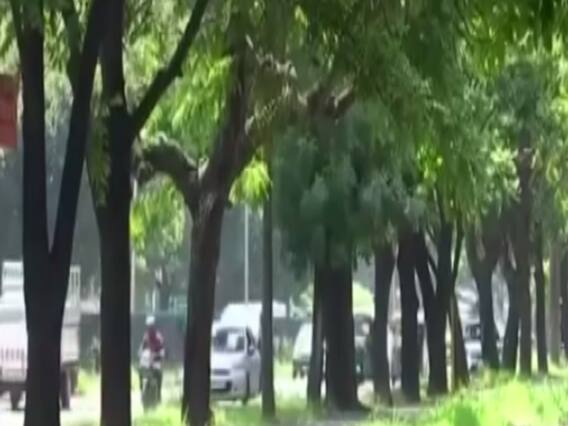 Chandigarh में पेड़ बचाने की पहल...पर्यावरण विभाग ने शुरु की Ambulance सेवा