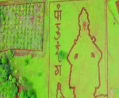 Rural News | माझं गाव माझा जिल्हा | राज्याच्या कानाकोपऱ्यातील बातम्यांचा आढावा 