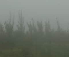 Rural News | राज्यात अनेक ठिकाणी दाट धुक्याची चादर, बळीराजा चिंतेत | माझं गाव माझा जिल्हा 