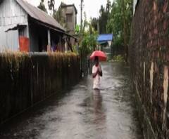 একরাতের বৃষ্টিতেই ডুবল শিলিগুড়ি, কোমর পর্যন্ত জল 