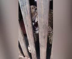 Majha 20-20 | आत्तापर्यंतच्या घडामोडींचा वेगवान आढावा | माझा 20-20 