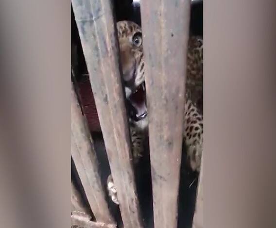 Majha 20-20 | आत्तापर्यंतच्या घडामोडींचा वेगवान आढावा | माझा 20-20 