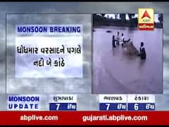 ભારે વરસાદના કારણે અમરેલીના ધારીમાં સેલ નદીમાં પૂર, વહેણમાં ફસાયો બળદ