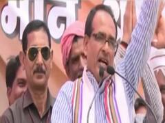 Tiger Politics : Madhya Pradesh की राजनीति का कौन है असली Tiger? Shivraj, Scindia या Uma Bharati?