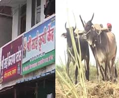 बोगस बियाणे विक्रेत्यांवरील कारवाईच्या निषेधार्थ बी बियाणं, खतांची दुकानं तीन दिवस बंद