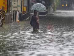 MNS protests after BMC says, 