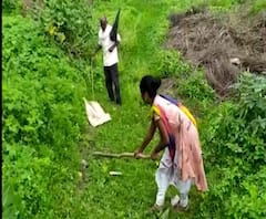 Hingoli | हिंगोलीत विषारी साप पकडण्याचा प्रयत्न करणाऱ्याला सापाचा दंश, व्यक्तीवर उपचार सुरु