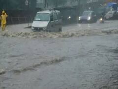 અસ્મિતા વિશેષઃ આકાશી આફત