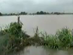 ગુજરાતમાં છેલ્લા 24 કલાકમાં ક્યા જિલ્લામાં કેટલો વરસાદ વરસ્યો? જુઓ વીડિયો