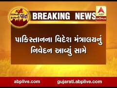 ભારતને રાફેલ વિમાન મળવાથી પાકિસ્તાનના વિદેશ મંત્રાલયે શું આપ્યું મોટુ નિવેદન?
