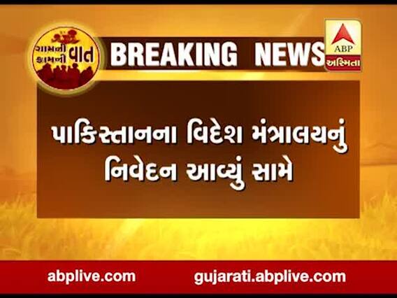 ભારતને રાફેલ વિમાન મળવાથી પાકિસ્તાનના વિદેશ મંત્રાલયે શું આપ્યું મોટુ નિવેદન?