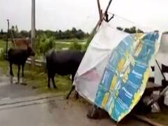 Bihar: बदइंतजामी को लेकर सरकार पर नाराज हुई महिला