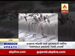 કચ્છના માંડવી પાસે રૂકમાવતી નદીના ધસમસતા પ્રવાહમાં ગાયો તણાઇ, જુઓ વીડિયો 